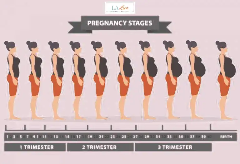 First Trimester (Weeks 1–12): Early Changes You Might Not Notice West Ruislip